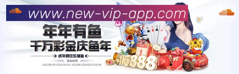 未来规划